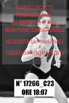 17266_C23