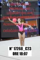 17268_C23