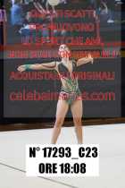 17293_C23