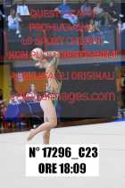 17296_C23