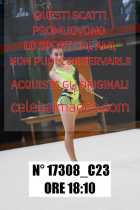 17308_C23