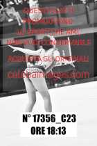 17356_C23