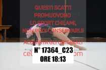 17364_C23