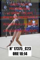 17375_C23