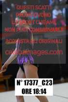 17377_C23