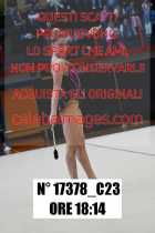 17378_C23