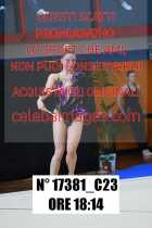 17381_C23