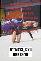 17413_C23