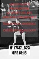 17417_C23