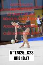 17426_C23