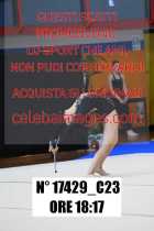 17429_C23