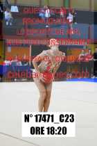 17471_C23