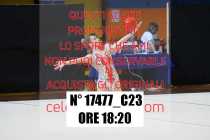 17477_C23