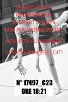 17497_C23