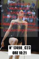 17498_C23
