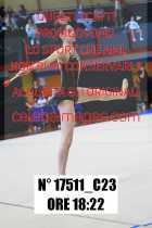 17511_C23