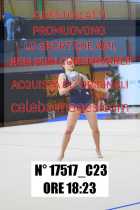 17517_C23