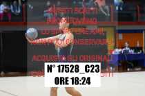 17528_C23