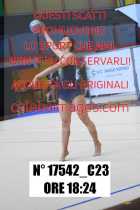 17542_C23