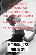 17545_C23