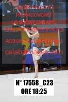 17558_C23