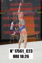 17561_C23
