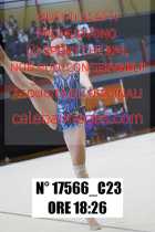 17566_C23
