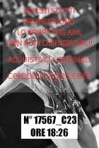 17567_C23