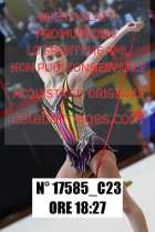 17585_C23