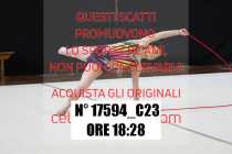 17594_C23