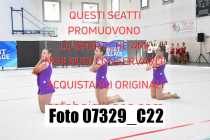 07329_C22