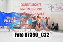 07390_C22