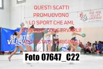 07647_C22