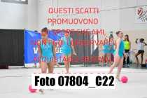 07804_C22