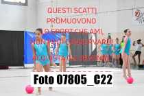 07805_C22