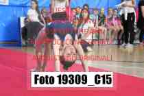 19309_C15