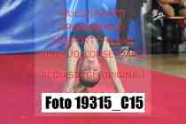 19315_C15