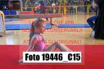 19446_C15