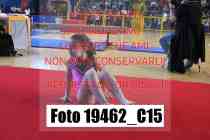 19462_C15