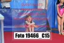 19466_C15