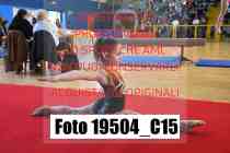 19504_C15