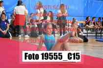 19555_C15