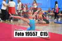 19557_C15