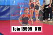 19595_C15