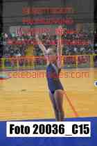 20036_C15