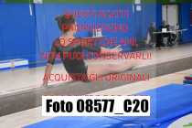 08577_C20