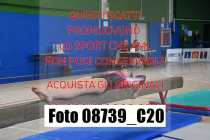 08739_C20