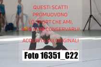16351_C22