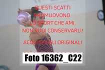 16362_C22