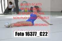 16377_C22